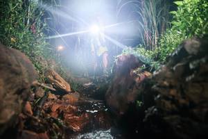 BIB: 
                            <button type="button" onclick="openModal(26414282)" class="btn btn-primary btn-sm float-right btn-popup" data-toggle="modal" data-target=".modal-high-quality">
                        <i class="fas fa-shopping-cart"></i> Add to Cart
                    </button>
                                            <button type="button" onclick="isThisMe(26414282, true)" class="btn btn-success btn-sm float-right btn-popup btn-isme hidden" data-toggle="tooltip" data-placement="bottom" title="นี่คือรูปของคุณใช่ไหม คลิกที่นี่เพื่อเอาเข้าอัลบั้ม">
                        <i class="fas fa-plus"></i> Add to album
                    </button>
                    <button type="button" onclick="isThisMe(26414282, false)" class="btn btn-warning btn-sm float-right btn-popup btn-isnotme hidden">
                        <i class="fas fa-ban"></i> Remove from album
                    </button>